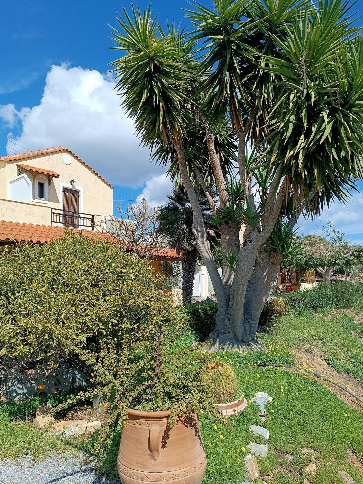 Villa Amalia Palekastro Exterior photo